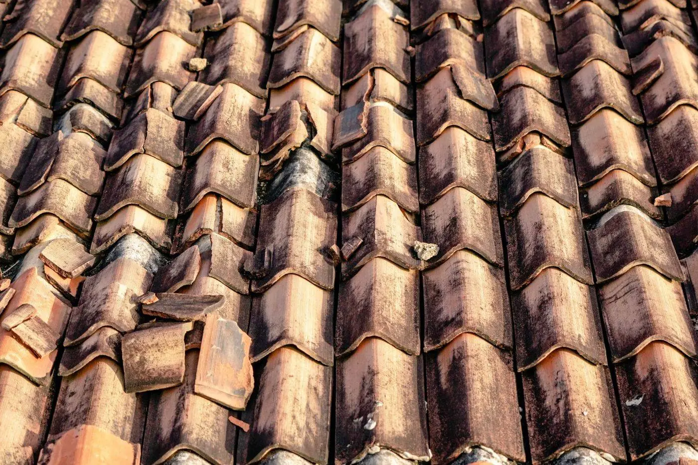 Shingle roof with storm damage: torn and missing shingles, debris, dark sky